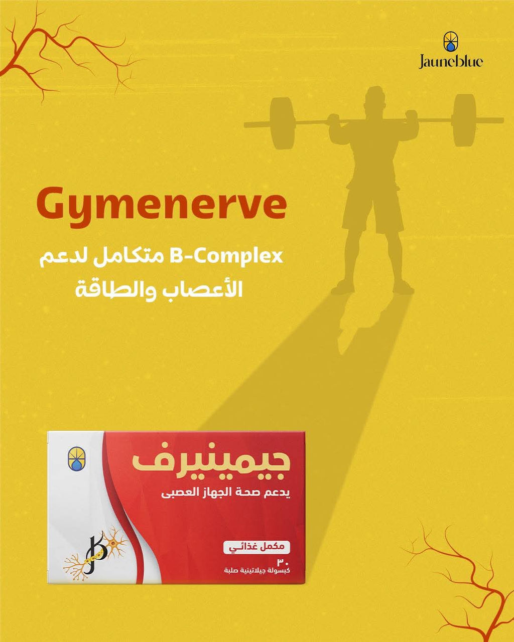 جيمينيرف كبسولات